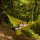SET Fio + Camino M forestal